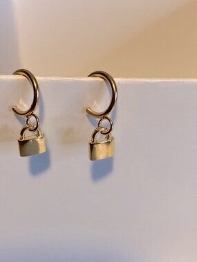 🌿4/$20 Lock and Hoop Earrings